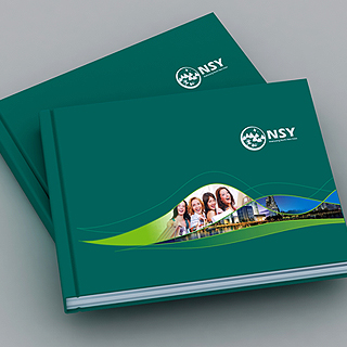 �Ѻӵ�Ͷ��ָ�ϻ������